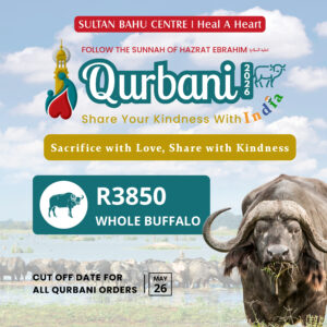 Whole Buffalo _ Qurbani